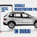 Vehicle Registration Process