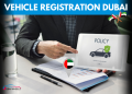 Vehicle Registration Renewal Dubai – well-maintained roads in Dubai