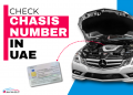 How to do a Chassis Number Check UAE – verify your used car history online