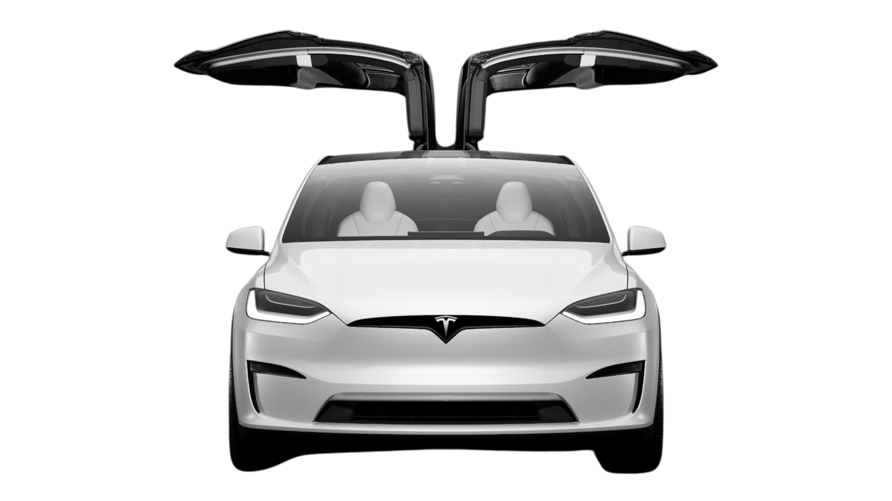 Model X