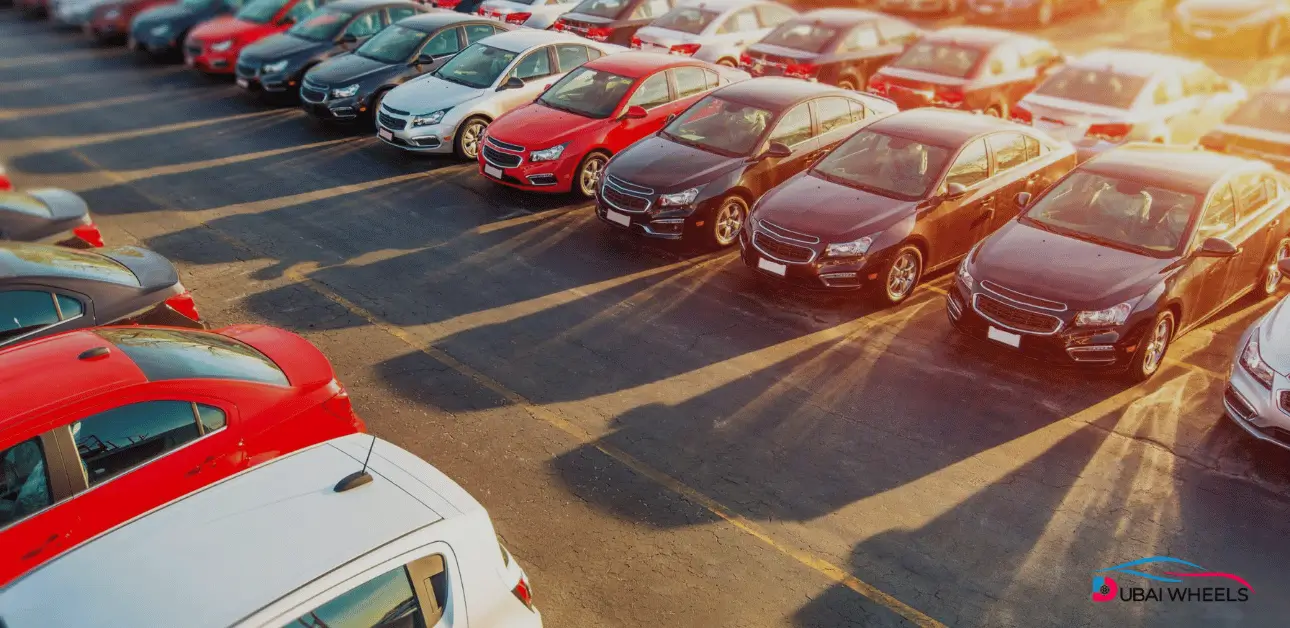 10 Best Used Cars for College Students in UAE