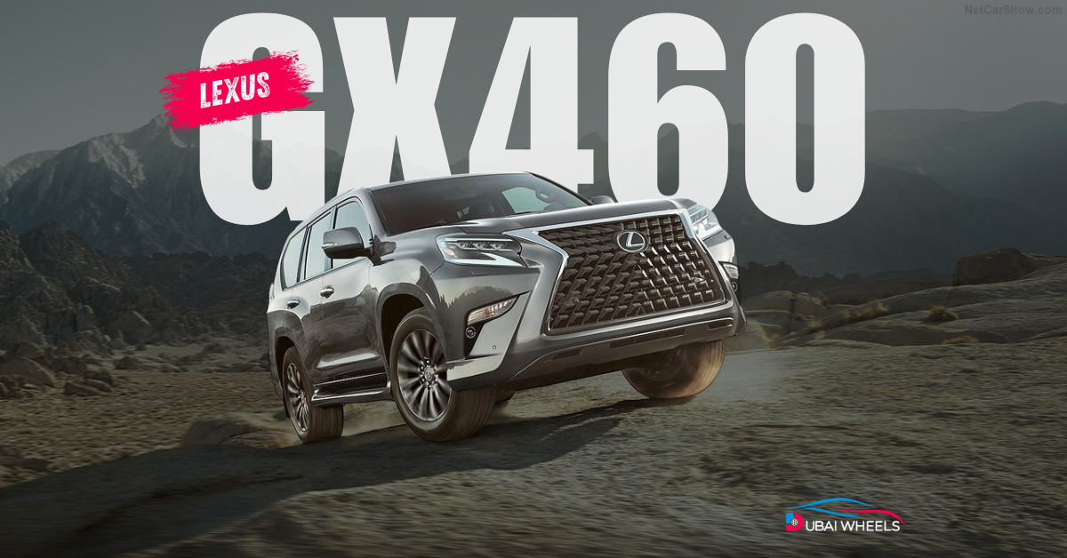 Lexus GX 460 in UAE: The Perfect SUV for Style and Strength