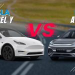 Tesla Model Y vs BYD Atto 3 UAE: High-Tech Performance vs High-Value Electric SUV