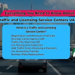 Everything You Need to Know About Traffic and Licensing Service Centers in the UAE